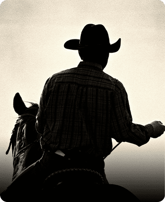 A man riding on the back of a horse.